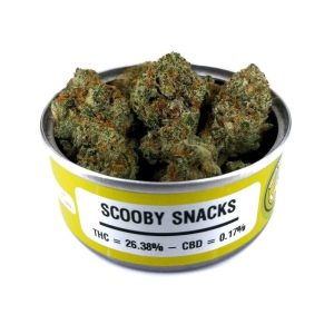 Space Monkey Scooby Snacks