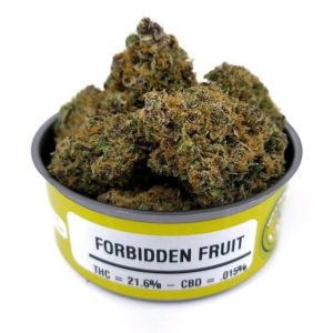 Space Monkey Forbidden Fruit