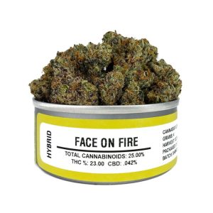 Space Monkey Face on fire strain