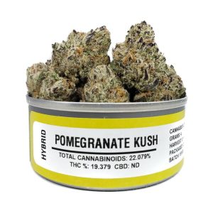 Space Monkey Pomegranate Kush