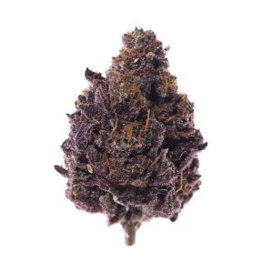 Buy Presidential Purple: Best Deals on Presidential Purple Strain - 420 Kush Dispensary