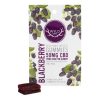 Wyld CBD Edible Blackberry Gummies 25mg