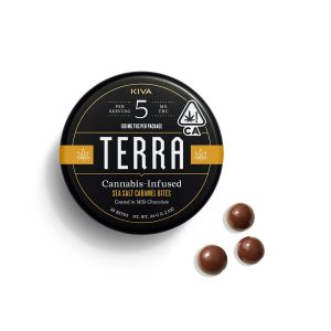 Terra Sea Salt Caramel Bites