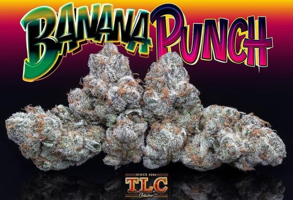 Jungle Boys Banana Punch