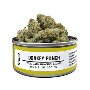 Space Monkey Donkey Punch