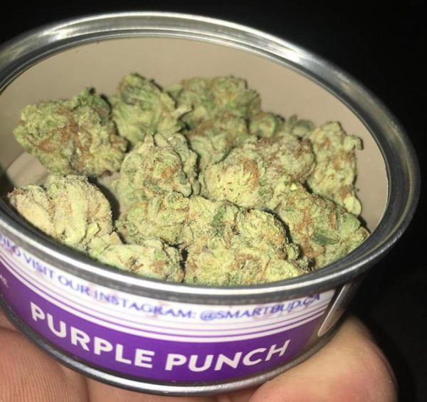 Purple Punch SmartBud