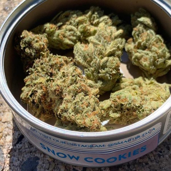 Snow Cookies SmartBud