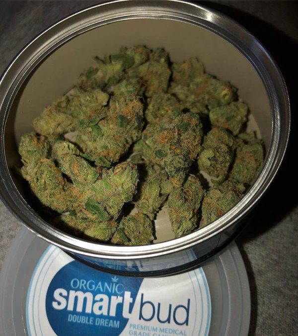 Double Dream SmartBud