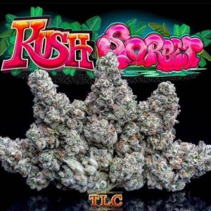 Jungle Boys Kush Sorbet