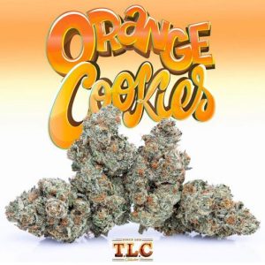 Jungle Boys Orange Cookies