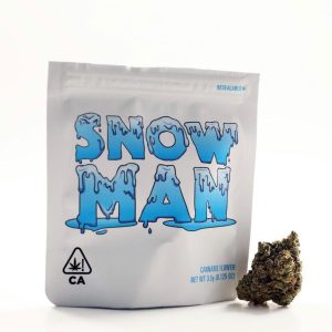 Snow Man Cookies