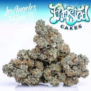 Jungle Boys Frosted Cakes