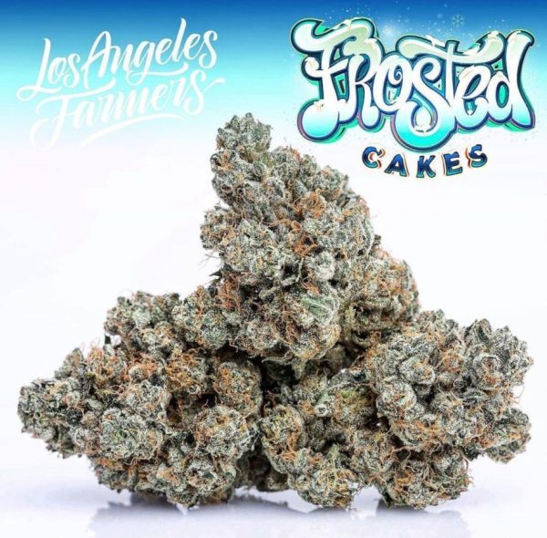 Jungle Boys Frosted Cakes