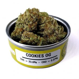 Space Monkey cookies og Strain